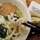 Tamoya太盛16烏龍麵((清大店))