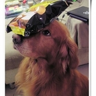 7-11香濃起士洋芋片