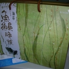 宏亞食品-海苔鱈魚脆片