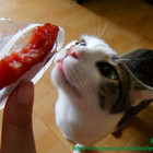 阮的肉干(厚燒肉干 原味本舖)