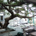 東森海洋溫泉酒店-榕榕苑