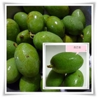 芒果攤販(新竹果菜批發市場)