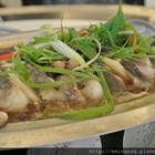 新川生鱘龍鱒魚餐廳