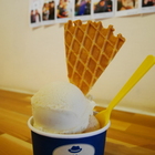 哈頓先生義式冰淇淋(中港店)