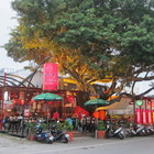 老榕樹生炒羊肉