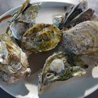 蠔鮮