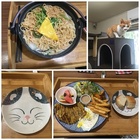 宅貓咖啡風味廚房 Coffe house cat