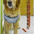 蒸吟早中晚餐剉冰