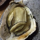 伊浪日式創意居酒屋