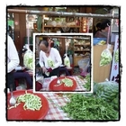 新竹內灣 芒果青