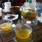 撒下種籽咖啡園