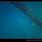 路邊的美味臭豆腐