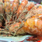 阿秋胡椒蝦胡椒魚