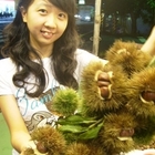 成家班手工糖炒栗子