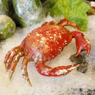 大漁市場(中華店)