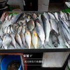 通河東街 無名魚攤販