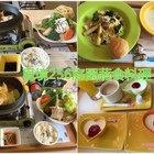 覓境256庭園蔬食料理