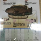 佳品鮮魚湯(台南佳里)