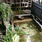 肉 壽喜燒 日式火鍋