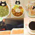 貓欸Camulet-貓咪餐廳