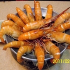 新海岸活蝦(市民大道胡椒蝦)