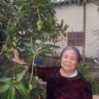 舞杯茶茶飲連鎖店(瑞屏總店)