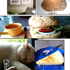 自由51獨立藝文咖啡廳