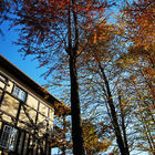 見晴山莊來福居咖啡廳