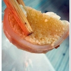 老字號營養蚵仔湯