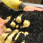 珍香石頭烤玉米