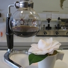 O MY CAFE 我的咖啡樹