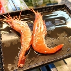 竹圍漁港魚市87號攤位