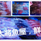 林口太將魚屋