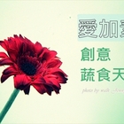 愛加素手創弁当