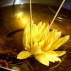 櫻の田野休閒養生館