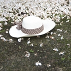 鬍鬚梅園博物館