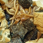 新店惠國市場滷味攤