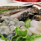 豆豆龍迷你涮涮鍋