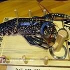 大釧鍋物(竹北二店)