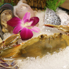 肉多多火鍋(台北古亭旗艦店)