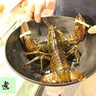 鮮入圍煮-精緻鍋物