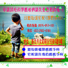 賴師父千層蛋糕