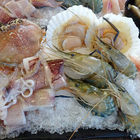 蒸饌養生蒸氣鍋