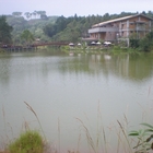 賽夏湖岸咖啡館