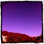 BEANCAFE 豆咖啡現烘精品莊園咖啡豆(稻香店)