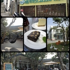 迦南地 Canaan Café