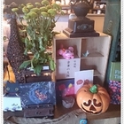 寬嫂的關於咖啡