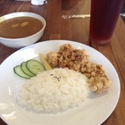 Tea Monkey 茶猴子