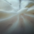 古味饅頭(西定店)