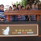 屋頂上的貓頂溪3D立體彩繪村